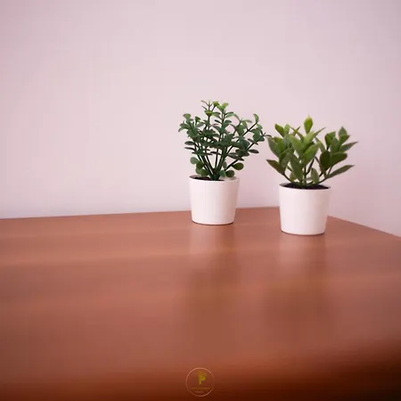 Дом отдыха Casa Maria Васто